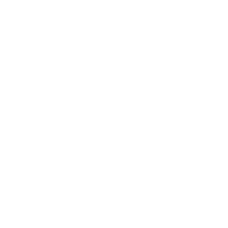 40+ years experience